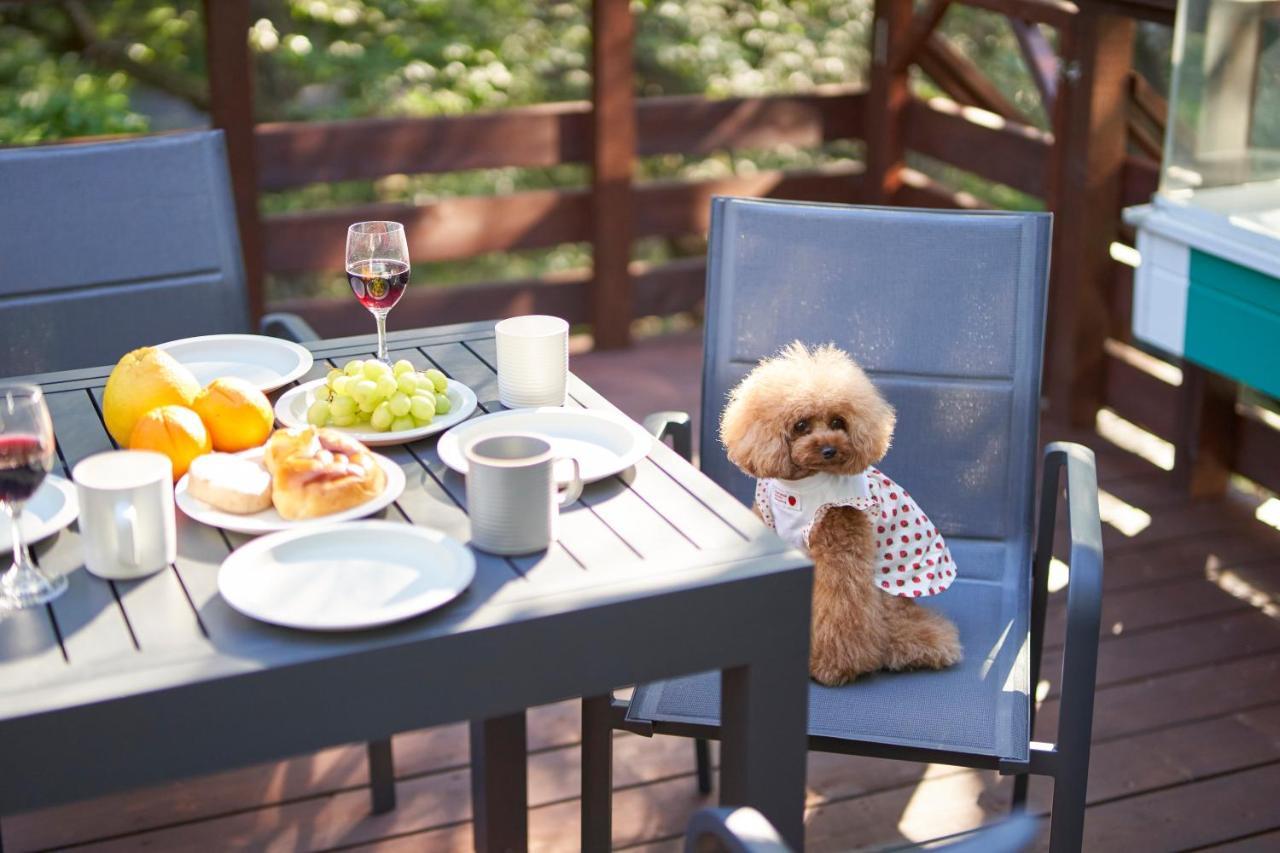 Suite Villa Nasukogen Doggy'S Ohana Extérieur photo